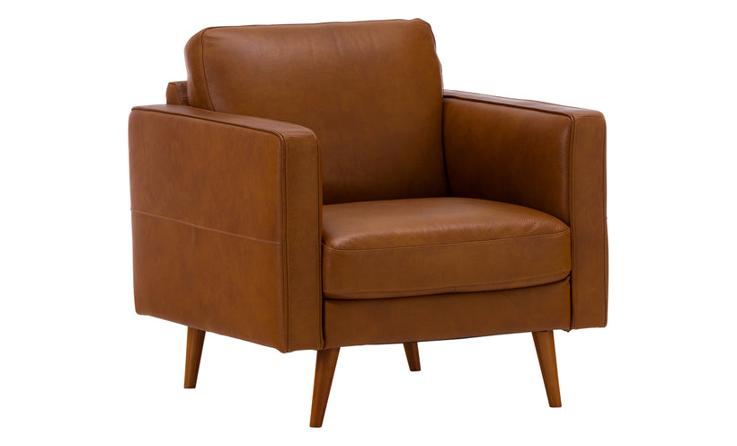 Destrezza Leather Chair
